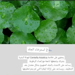 Esfolio Hyaluronic Acid Houttuynia Cordata Toner تونر بحامض الهيلورونيك