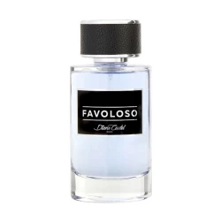 عطر فافولوسو للرجال 100 مل Favoloso Mens EDP 100ml